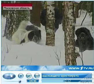 Фотография № 38248