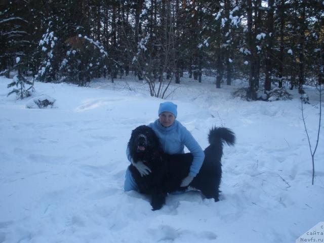 Фото: ньюфаундленд Эра Гранд Люкс Челеста