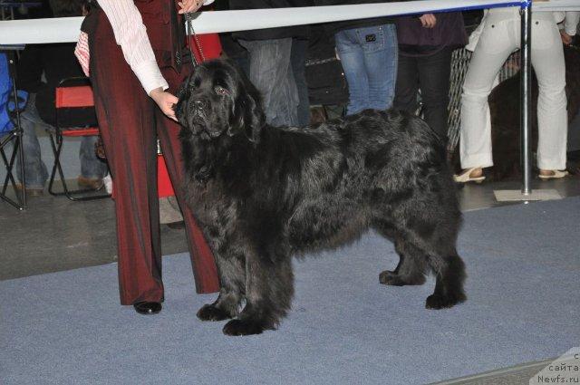 Фотография № 38278