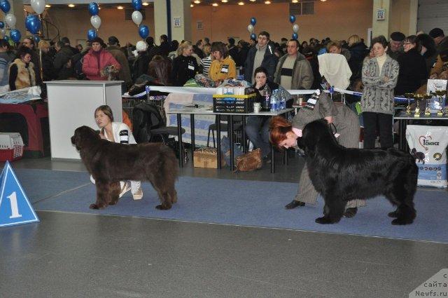 Фотография № 38279