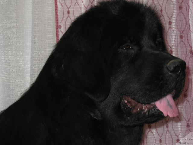 Фотография № 38319