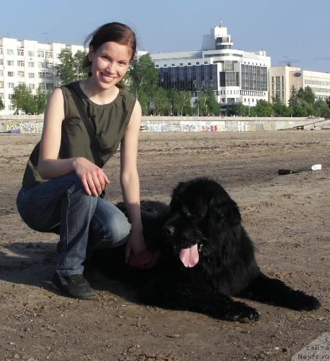 Фото: Анастасия Мищенко, ньюфаундленд Арх Бьюти Окси Свет