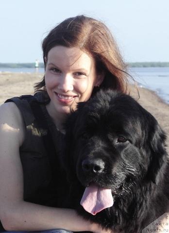 Фото: Анастасия Мищенко, ньюфаундленд Арх Бьюти Окси Свет