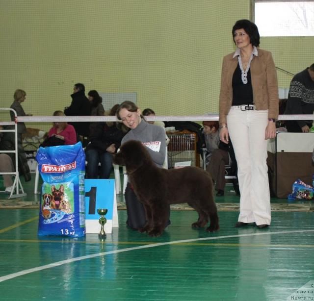 Фотография № 38335