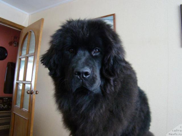 Фотография № 38366