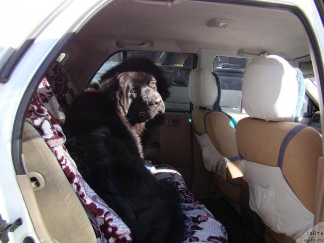 Фотография № 38370