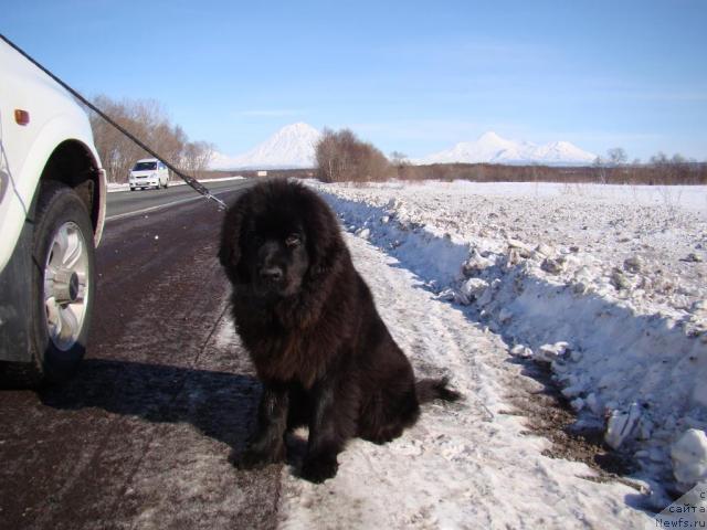 Фотография № 38371