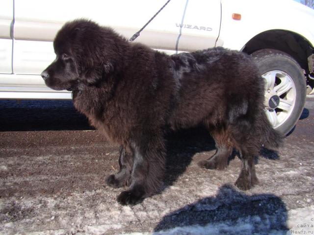 Фотография № 38375