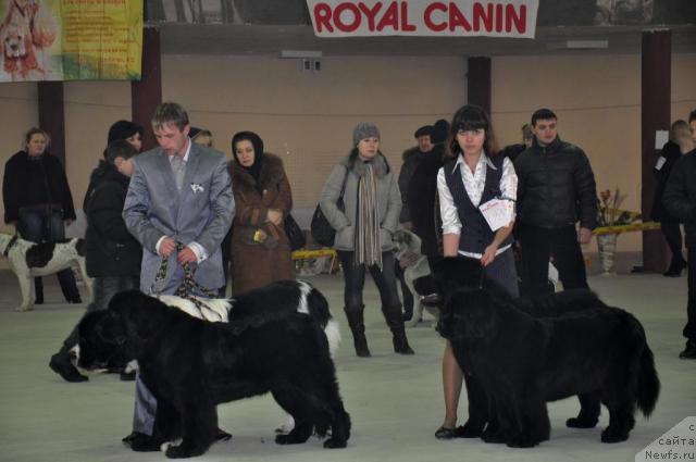 Фотография № 38385