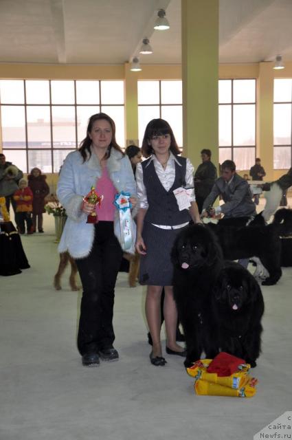 Фотография № 38387