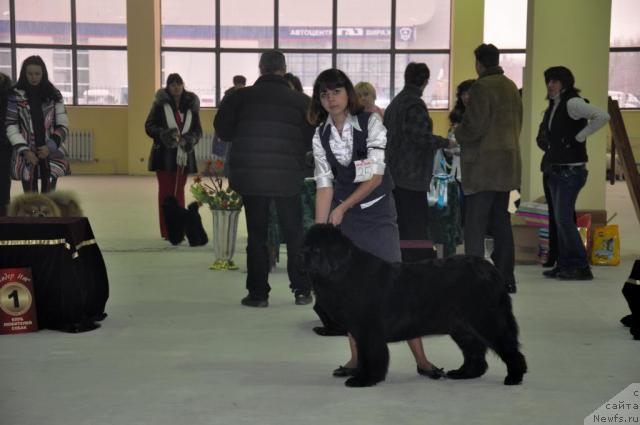 Фотография № 38388