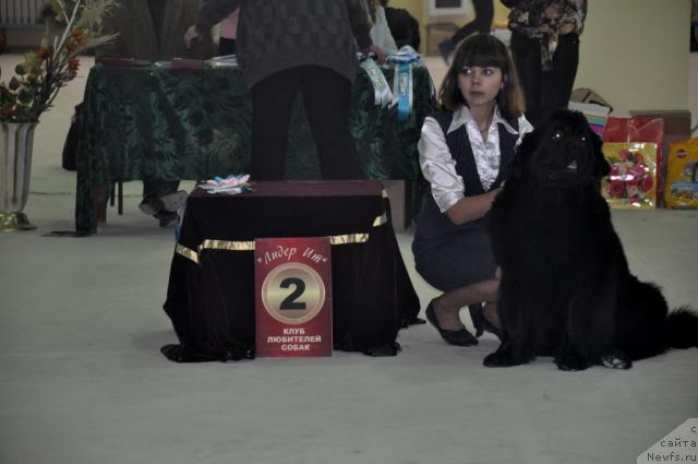 Фотография № 38389