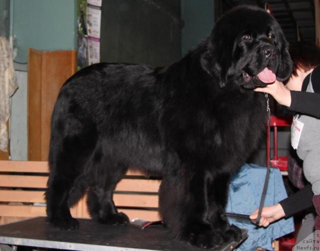 Фотография № 38390