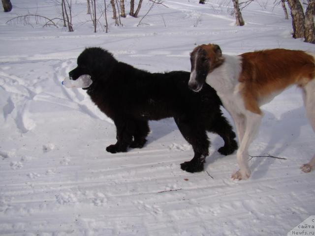 Фотография № 38398