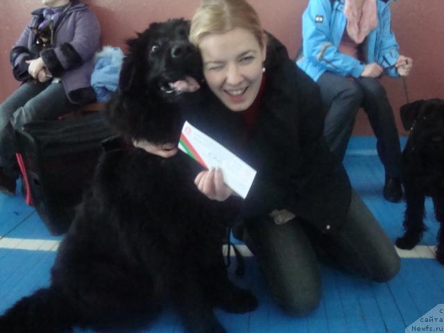 Фото: ньюфаундленд Любимая Медведица Моя, Ирина Кез
