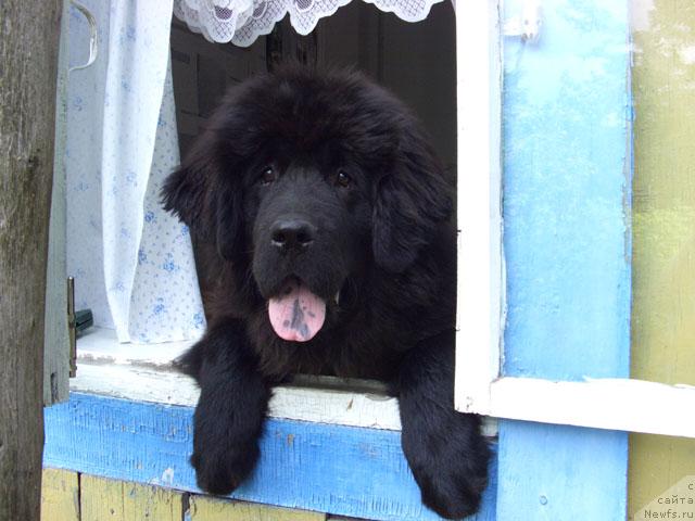 Фотография № 3842