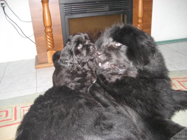 Фотография № 38481