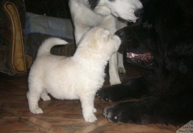 Фотография № 3849