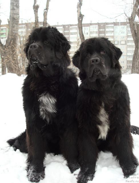 Фотография № 38510