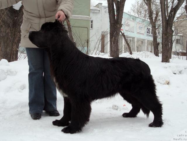 Фотография № 38511