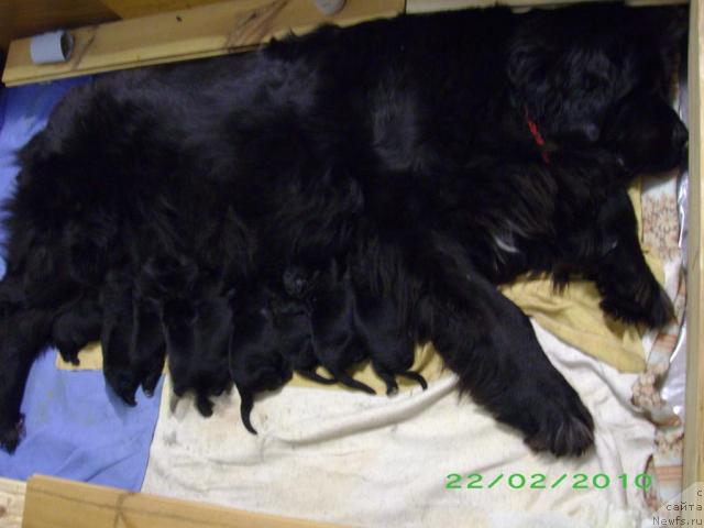 Фотография № 38532