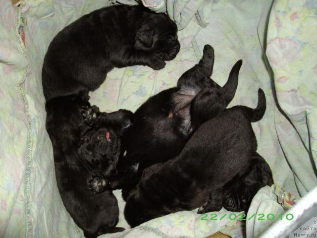 Фотография № 38533