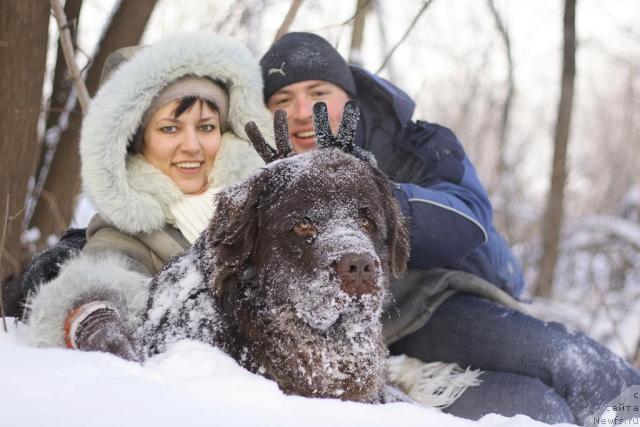 Фото: ньюфаундленд Лесная Сказка Королевский Медведь (Lesnaja Skazka Korolevskiy Medved), Дмитрий Самарцев, Светлана Самарцева