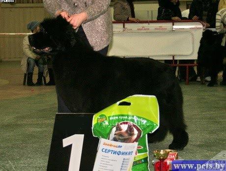 Фотография № 38676