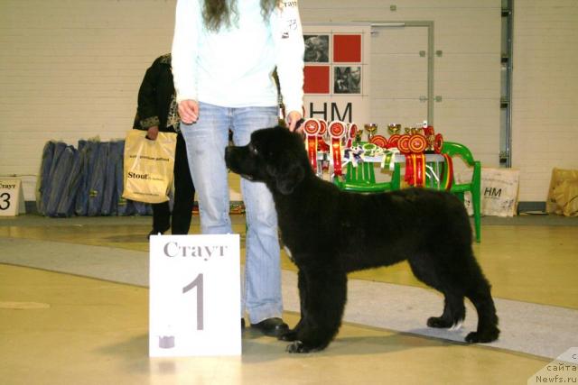 Фотография № 38717