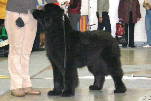 Фотография № 38719