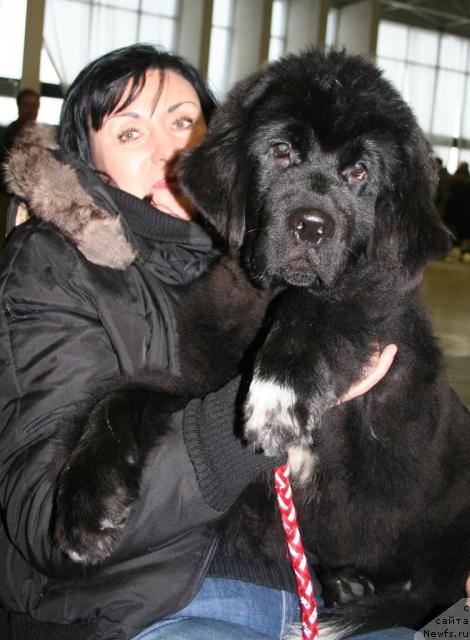 Фотография № 38723