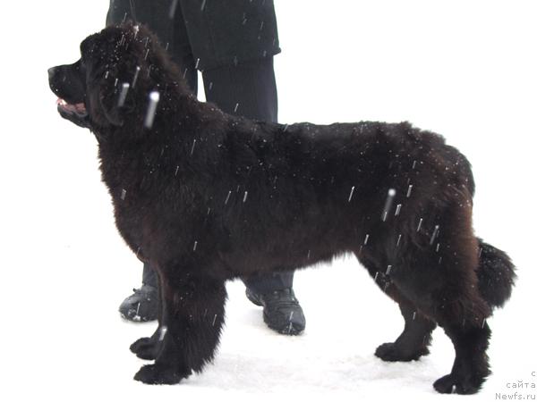 Фотография № 38739