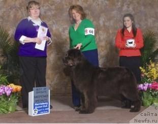 Фотография № 38822