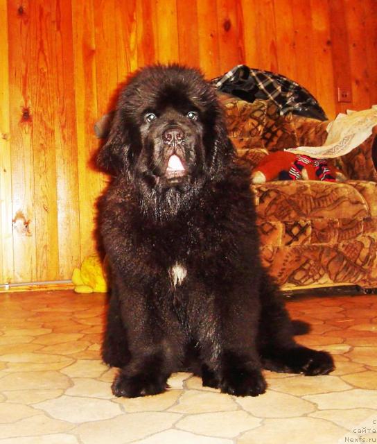 Фотография № 38831