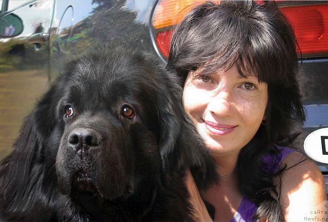 Фото: ньюфаундленд Бавария (Bavariya), Татьяна