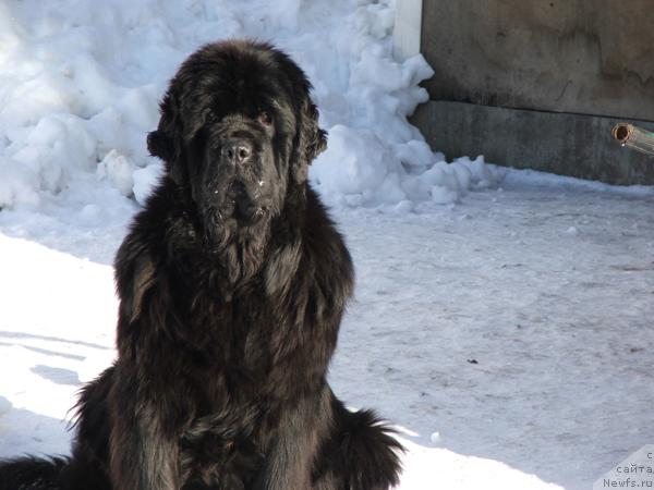 Фотография № 38869