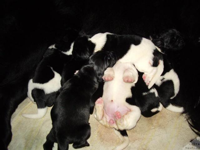 Фотография № 38876