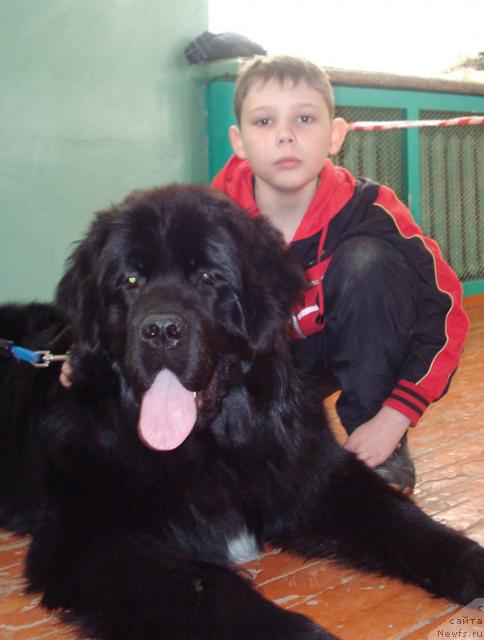 Фотография № 38924