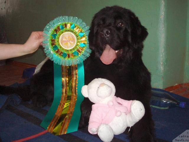 Фотография № 38925