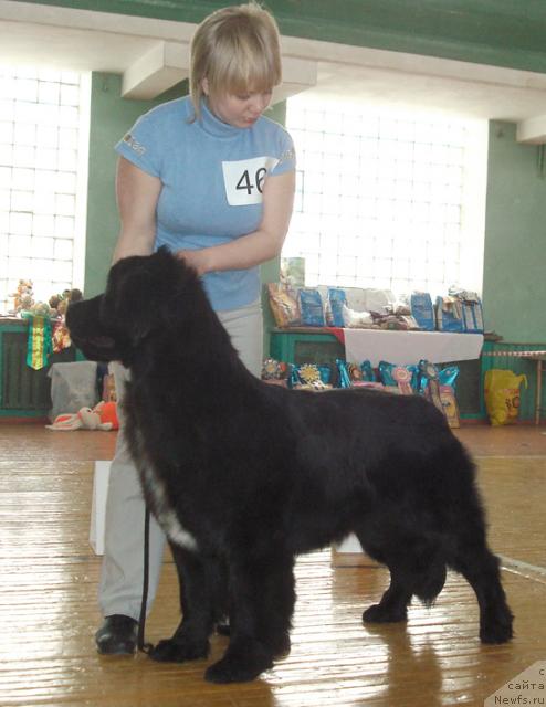 Фотография № 38927