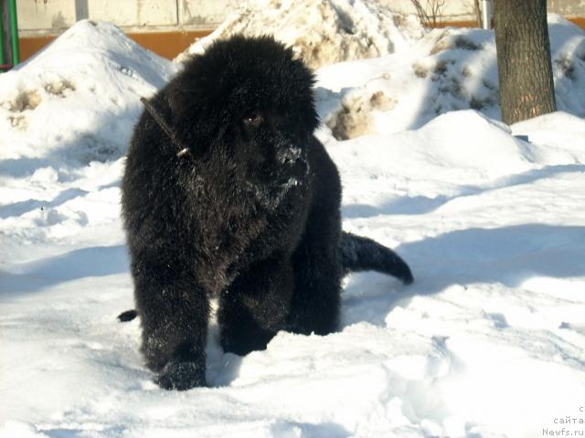 Фотография № 38943