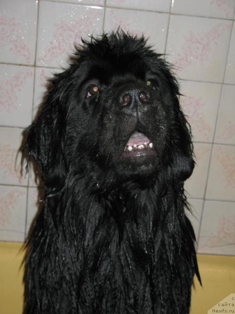 Фотография № 38952