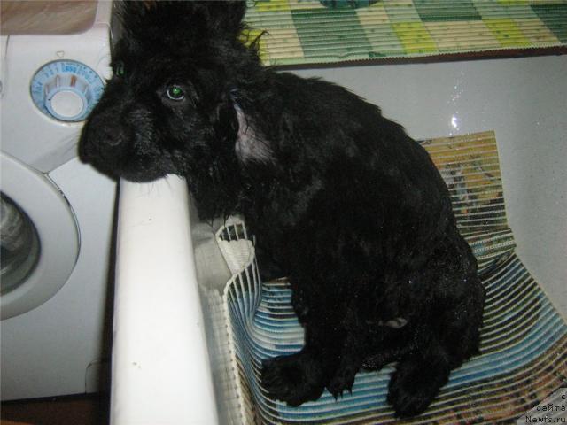 Фотография № 38968