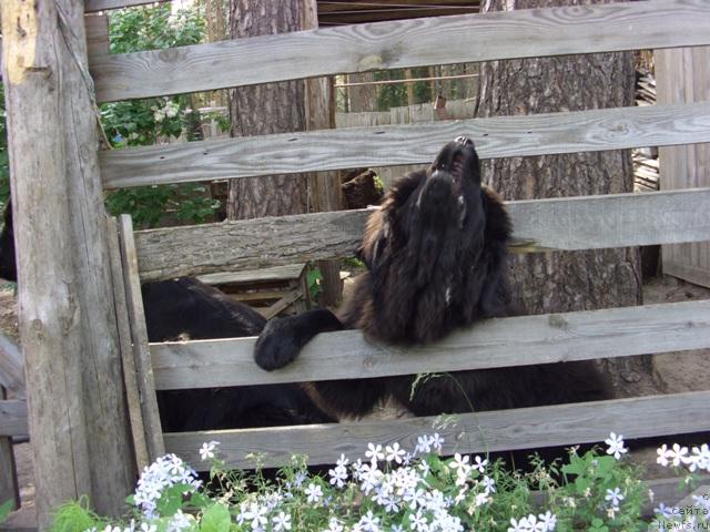 Фотография № 3900