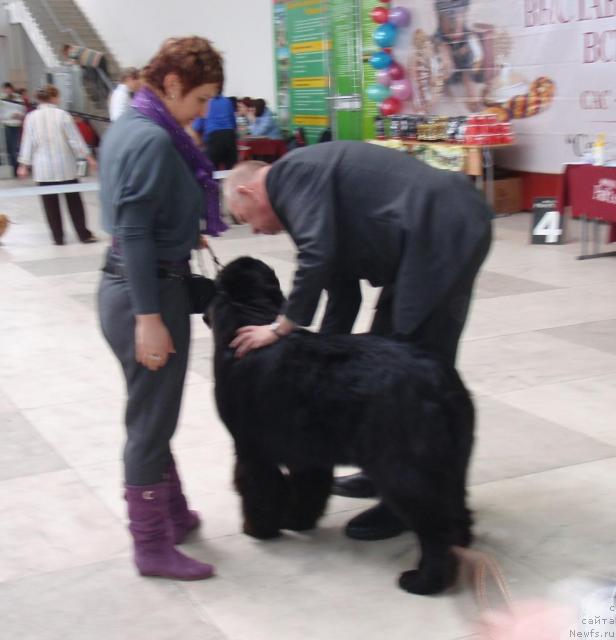 Фотография № 39040