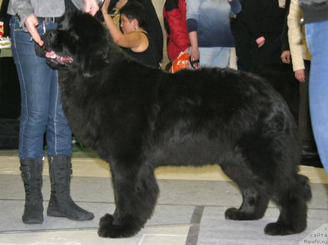 Фотография № 39086