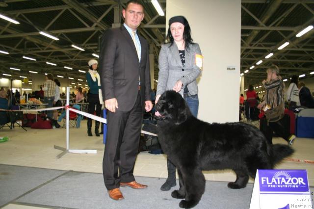 Фотография № 39090