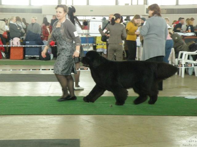 Фотография № 39103