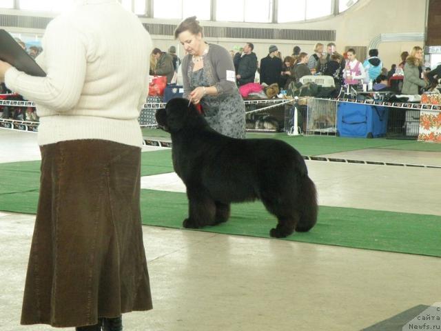 Фотография № 39104