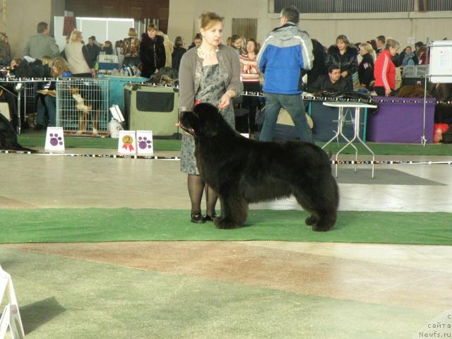 Фотография № 39109